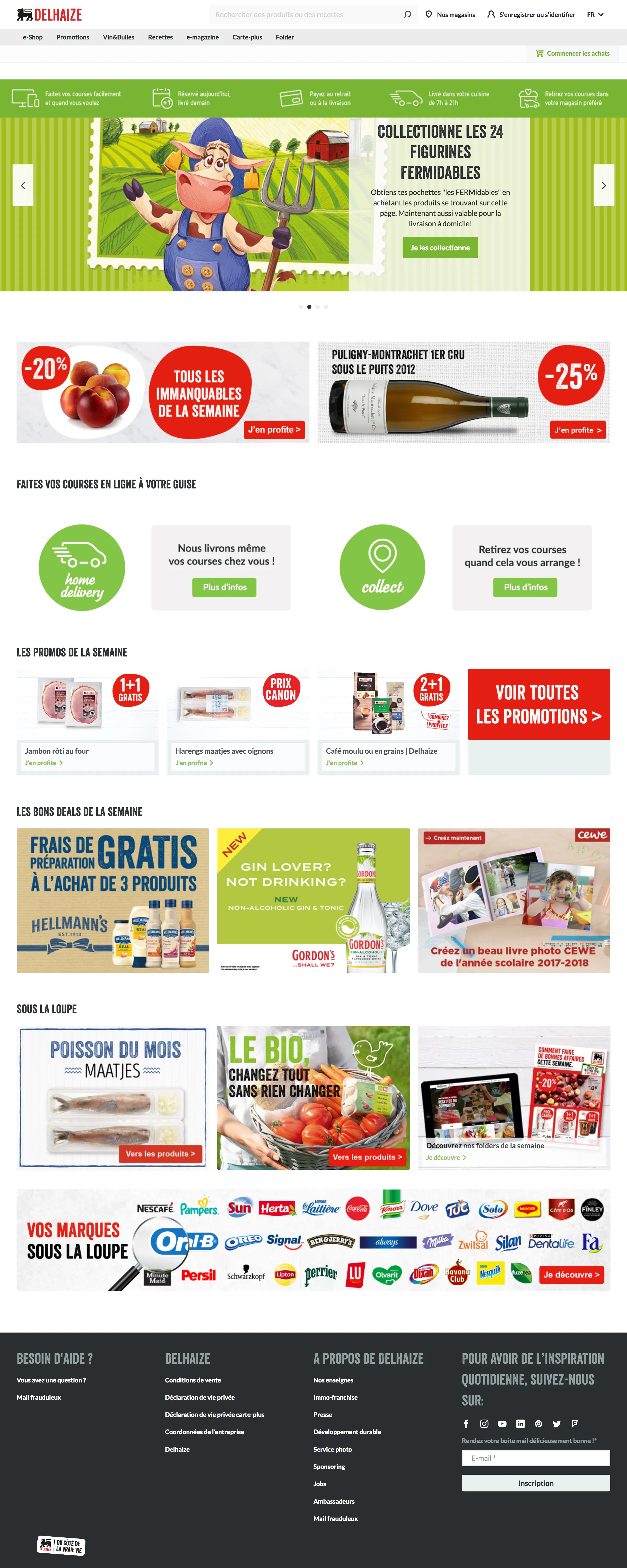 Delhaize landing page